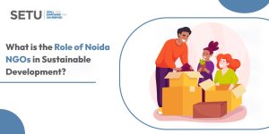 What is the Role of Noida NGOs in Sustainable Development?