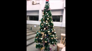 gallery 2015- 2016-1 0559